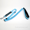 Nylon Pet Dog Bungee Leash con gancio a scatto